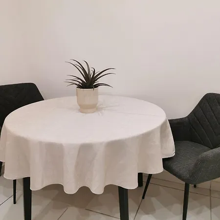 Apartment Zoi